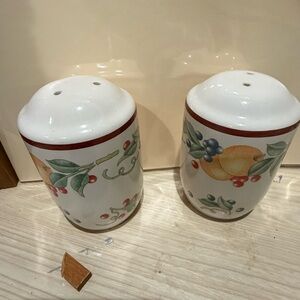 Hand-Painted Fruit Ceramic Salt and Pepper Shakers - White